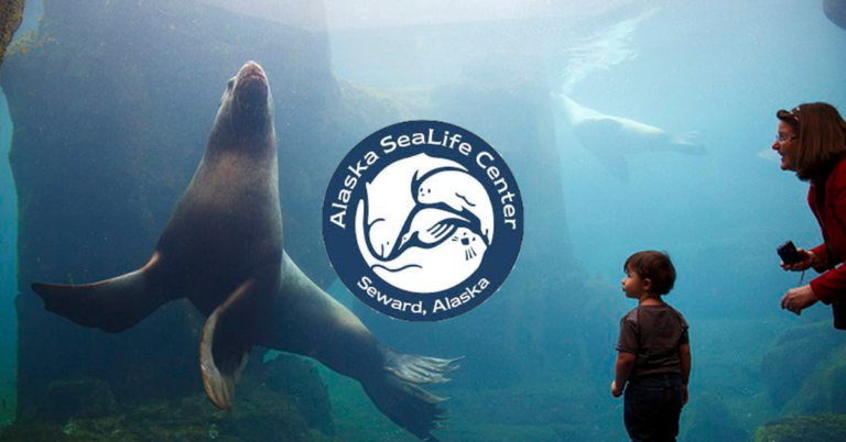 Help Sustain The Alaska Sealife Center With Us! - Diamond Heating ...